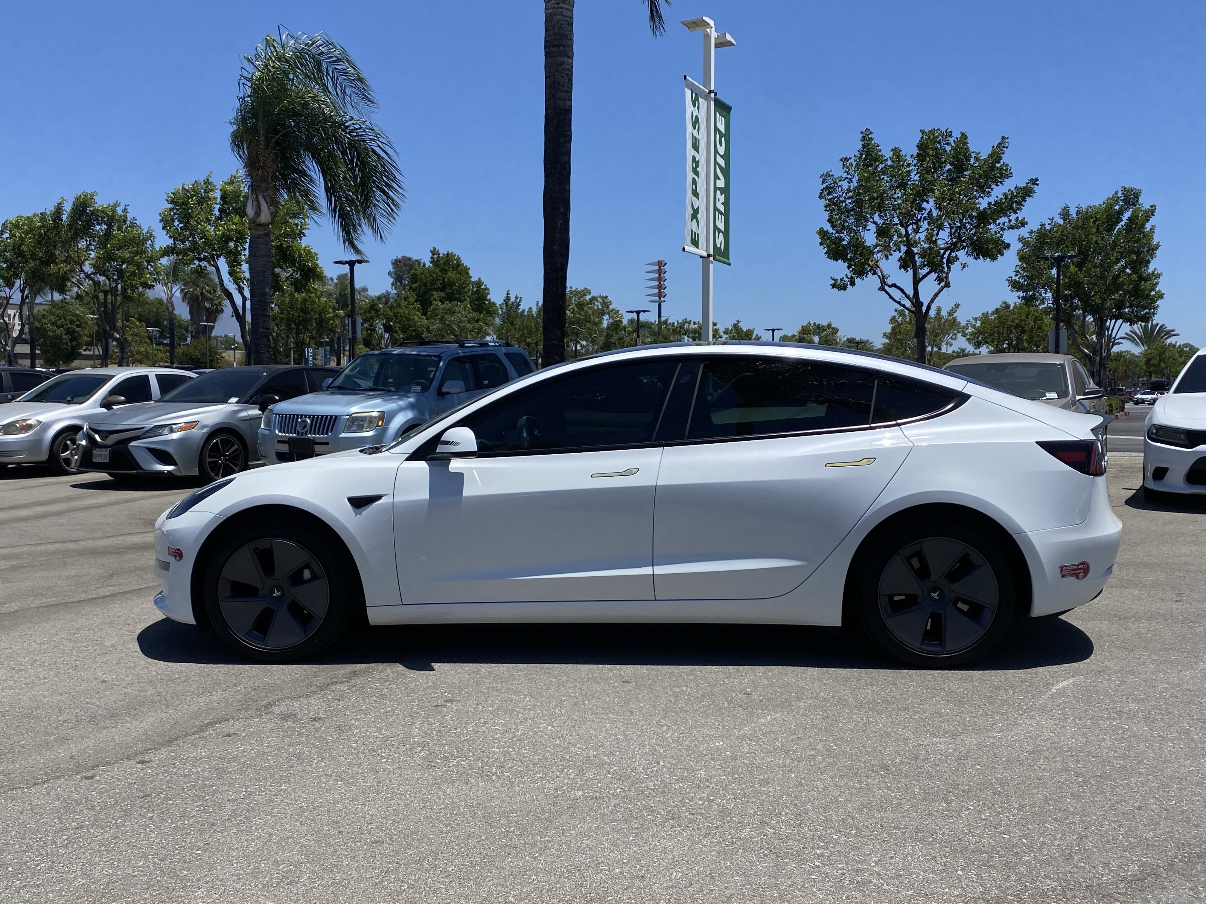 tesla model 3 2023 5YJ3E1EAXPF500989 image tesla model 3 2023 5YJ3E1EAXPF500989 image